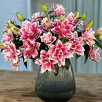 Premium Samantha Pink Roselilies - Pollen Free