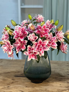 Premium Samantha Pink Roselilies - Pollen Free