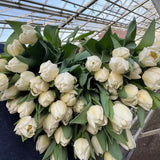 The White Flower Subscription