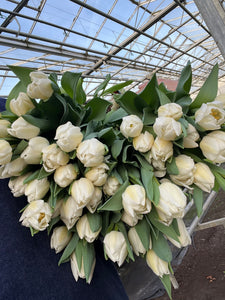 The White Flower Subscription