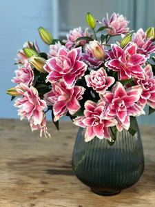 Premium Samantha Pink Roselilies - Pollen Free