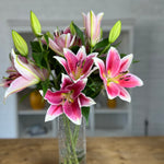 Premium Best Regards Pink Lilies - Pollen Free
