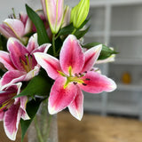 Best Regards Oriental Lilies - Pollen free - 10 Stems (4+ buds)