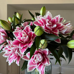 10-Stem Pink and White Bundle