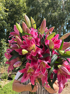 10-Stem Pink and White Bundle