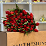 The Red Christmas Tulip Bouquet  - 50 Stems