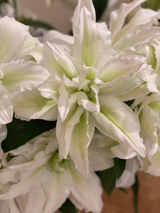 The White Flower Subscription