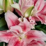 The Betty Bouquet - Pink and White Mix