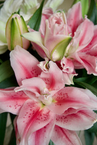 The Betty Bouquet - 10 Stem Pink and White Mix