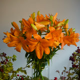 Preorder Pip the Bat’s Halloween Lilies - 10 Stems