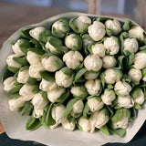 The White Christmas Tulip Bouquet  - 50 Stems