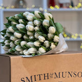 The White Christmas Tulip Bouquet  - 50 Stems