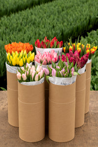 Smith & Munson Flower Subscription