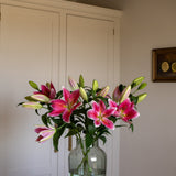 Premium Best Regards Pink Lilies - Pollen Free