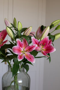 Premium Best Regards Pink Lilies - Pollen Free