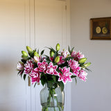 Premium Samantha Pink Roselilies - Pollen Free