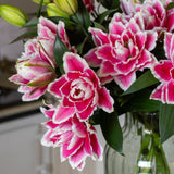 Premium Samantha Pink Roselilies - Pollen Free