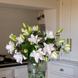 Premium Anouska Roselilies