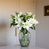 Premium Aisha White Roselilies - Pollen Free