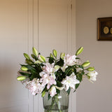 Premium Anouska Roselilies