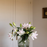 Premium Anouska Roselilies