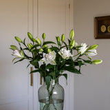 Premium Anouska Roselilies