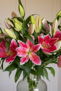 Premium Best Regards Pink Lilies - Pollen Free