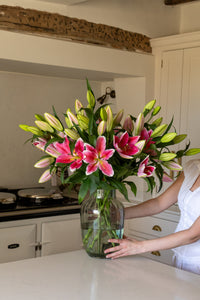 Premium Best Regards Pink Lilies - Pollen Free