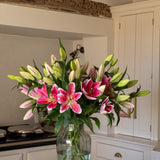 Premium Best Regards Pink Lilies - Pollen Free