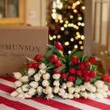The Mixed Christmas Tulip Bouquet  - 50 Stems