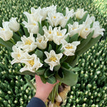 The White Flower Subscription