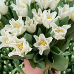 The White Flower Subscription