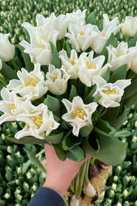 The White Flower Subscription