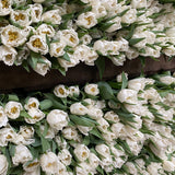 The White Flower Subscription