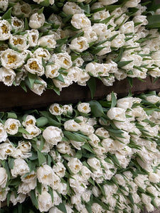 The White Flower Subscription
