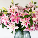 Premium Viola Pink Roselilies - Pollen Free