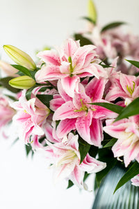 Smith & Munson Lily Subscription - Pollen Free Only