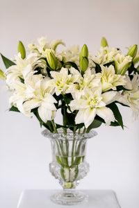 Smith & Munson Lily Subscription - Pollen Free Only