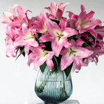 Tabledance Pink OT Lily - 5 Stems (4-6 Buds)