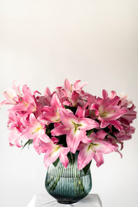 Premium Tabledance Pink British Lilies