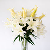 Premium Big News White Lilies