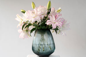Smith & Munson Lily Subscription - Pollen Free Only