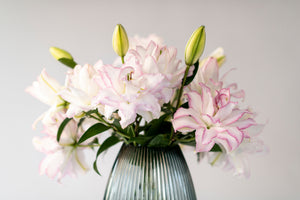 Premium Anouska Roselilies