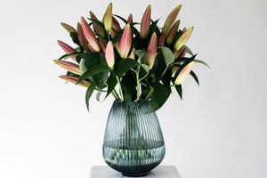 Premium Tabledance Pink British Lilies