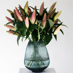 Tabledance Pink OT Lily - 5 Stems (4-6 Buds)