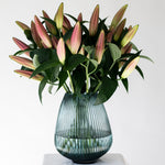 Tabledance Pink OT Lily - 10 Stems (4-6 Buds)