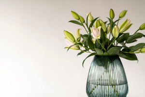 Premium Anouska Roselilies