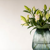 Anouska Roselilies - 10 Stems