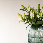 Anouska Roselilies - 10 Stems