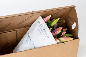 Premium Tabledance Pink British Lilies